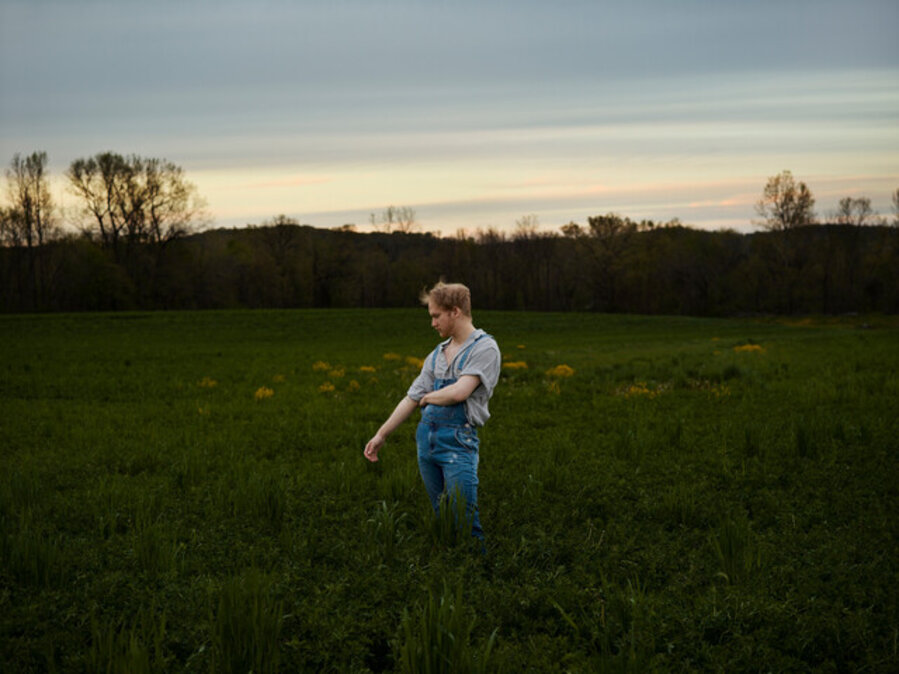 Kalven at sunset