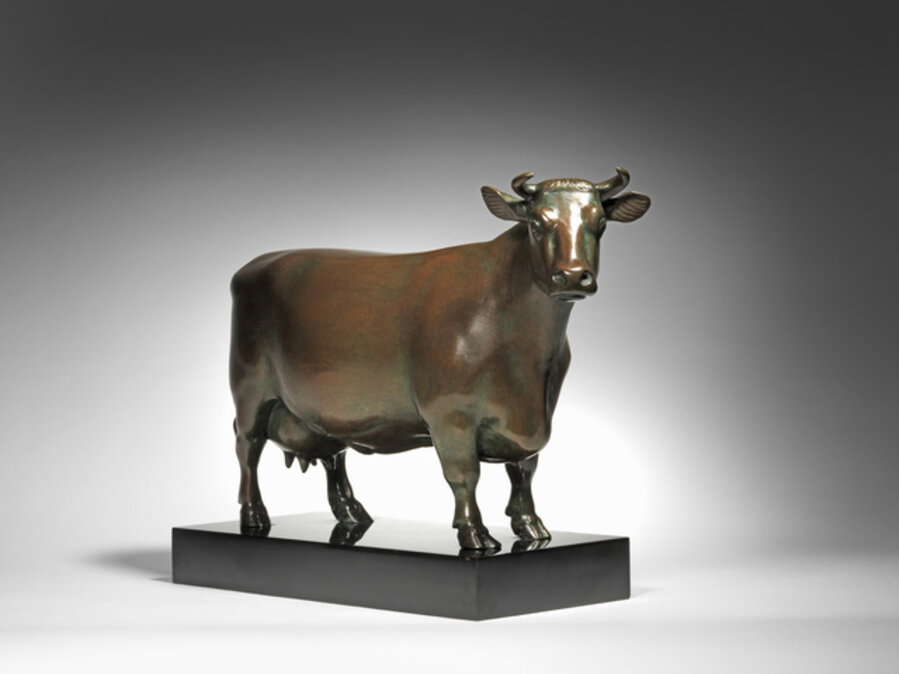 Dairy Short Horn Cow, Lily