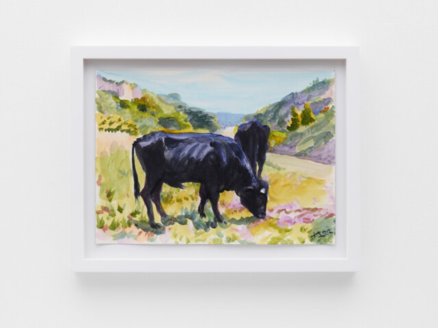 Black Cows