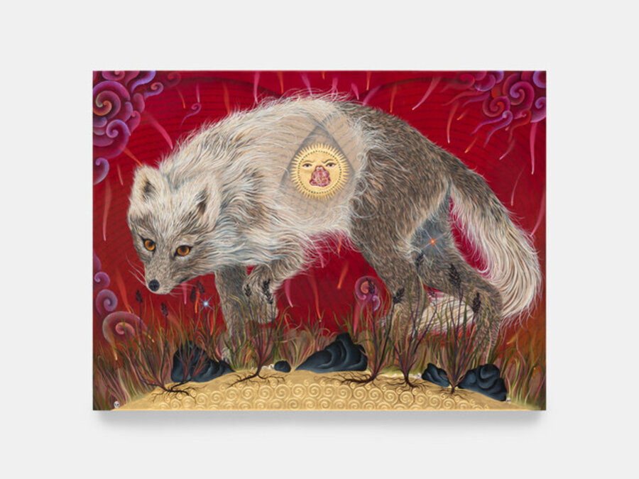 Arctic Fox (The Coming of Summer),