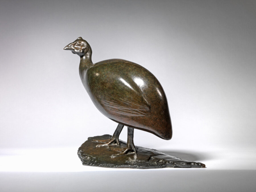 Guinea Fowl