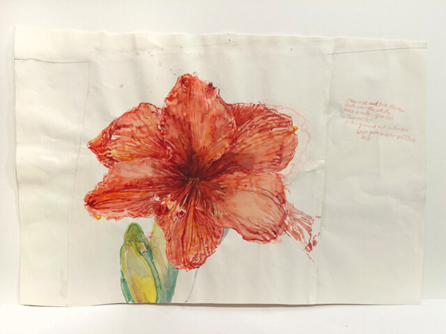 Untitled (Small Amaryllis)
