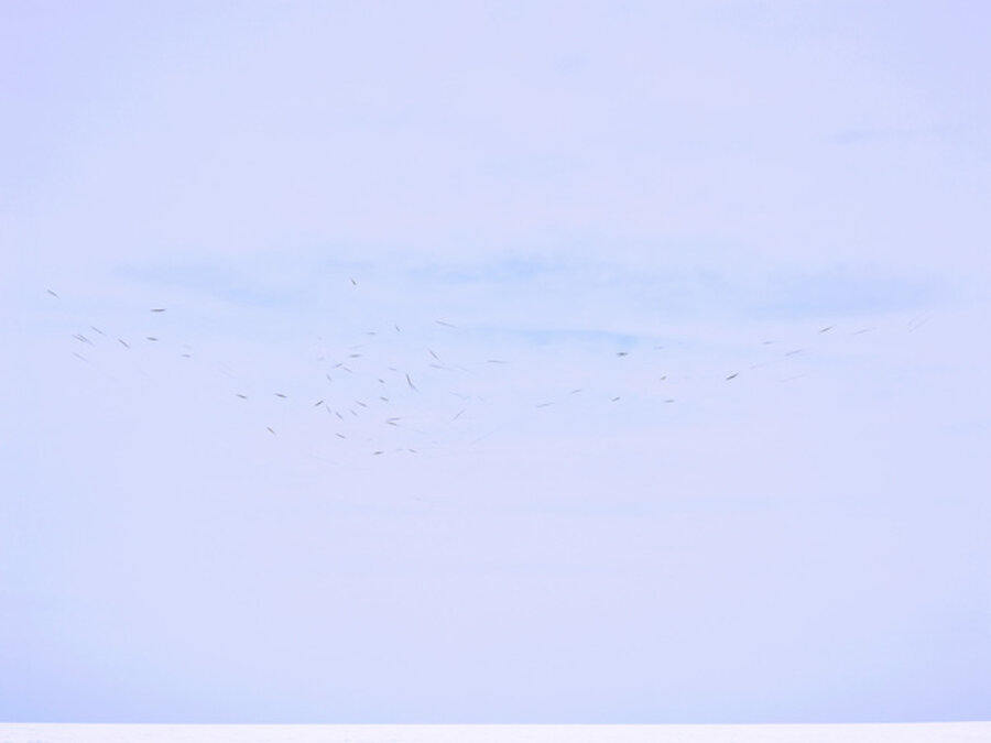 A brief movement after death 8