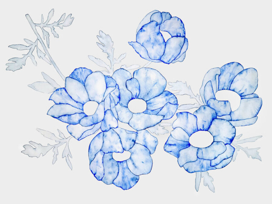Anemonies
