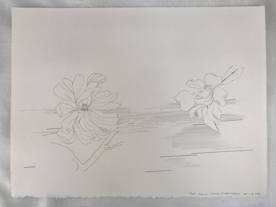 Flight- Magnolia Stellata and twirled gardenia