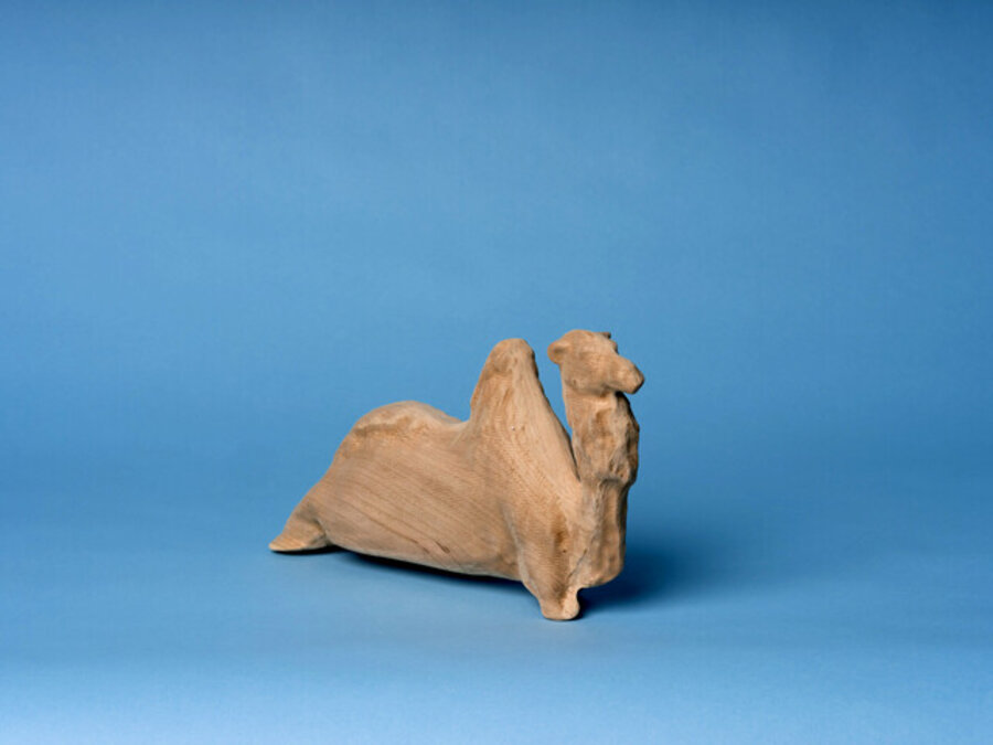 Background Camel