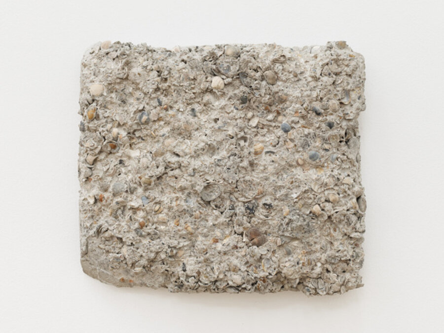 Hardscapes (0,017 Tonnes)