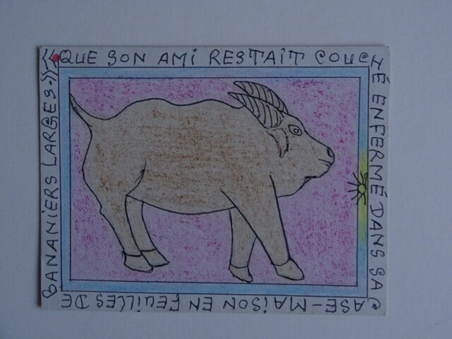 Animal