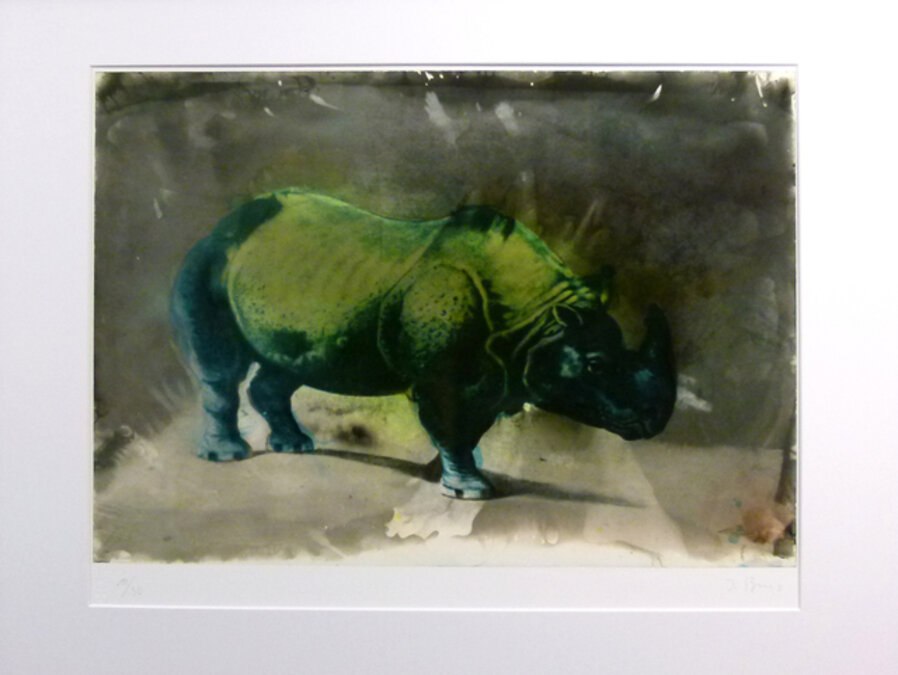 Rhino