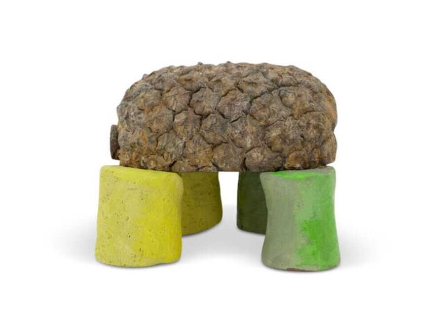 Brazilian Turtle