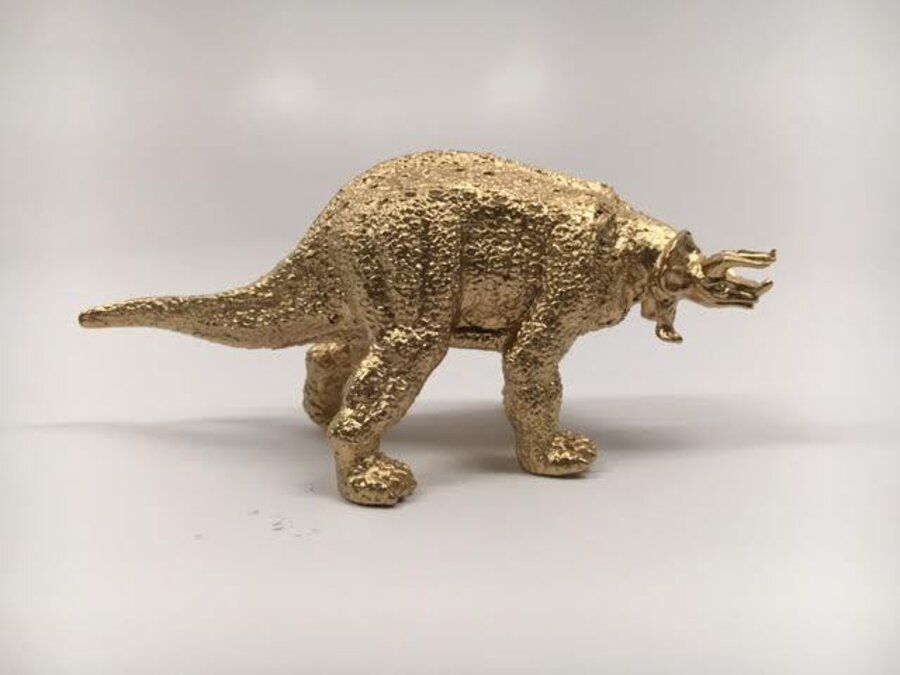 Pygmy Headed Triceratops