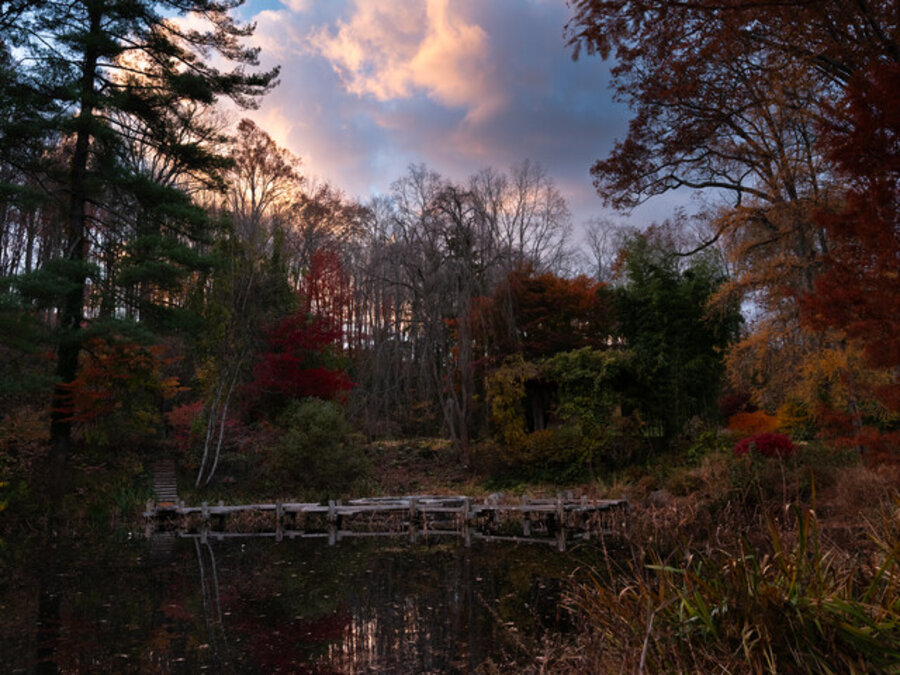 Sunrise on pond