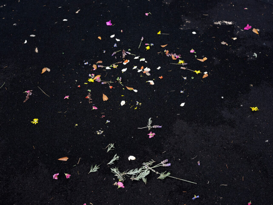 Scattered flowers