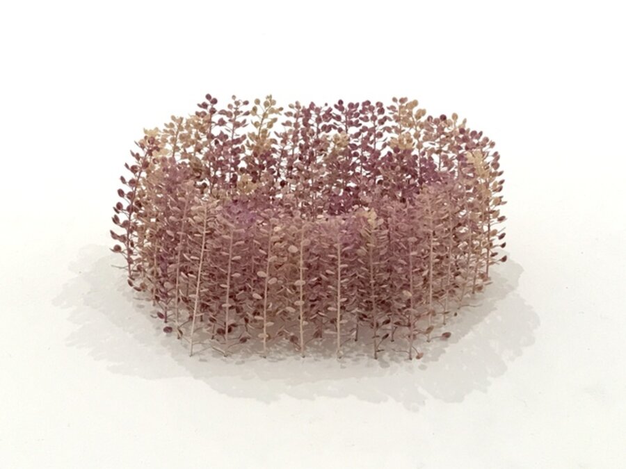 Oval Bowl Form