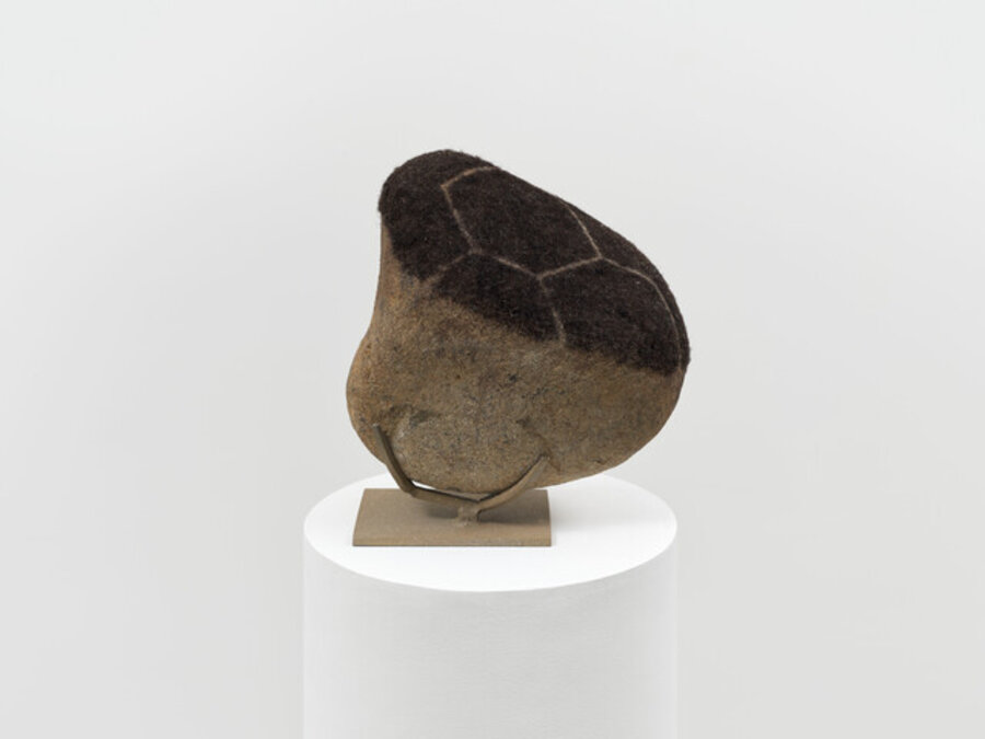 Rock Head