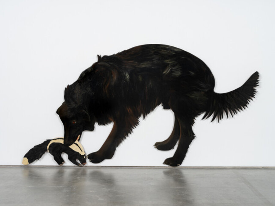 Ezra and the Skunk