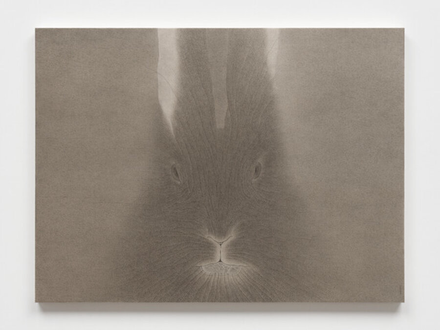 Rabbit Portrait 1025
