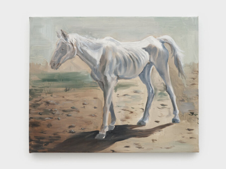 Mare Study