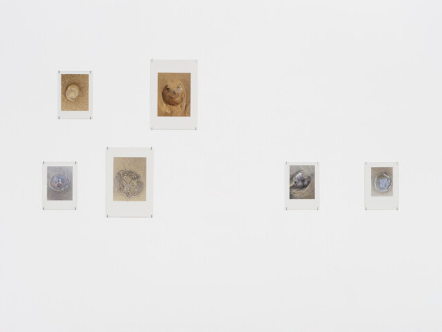 Grains of Truth, group seven