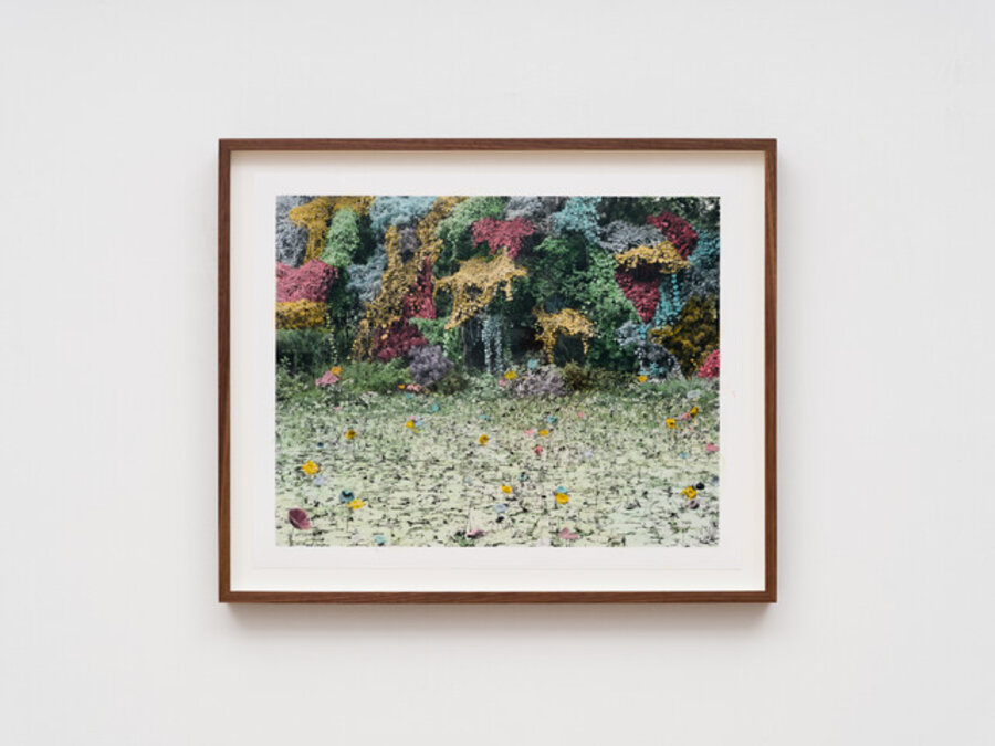The Pond