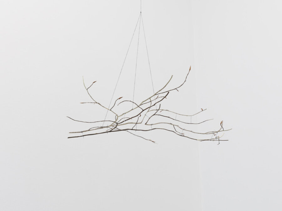 Geometric Nature / Biology