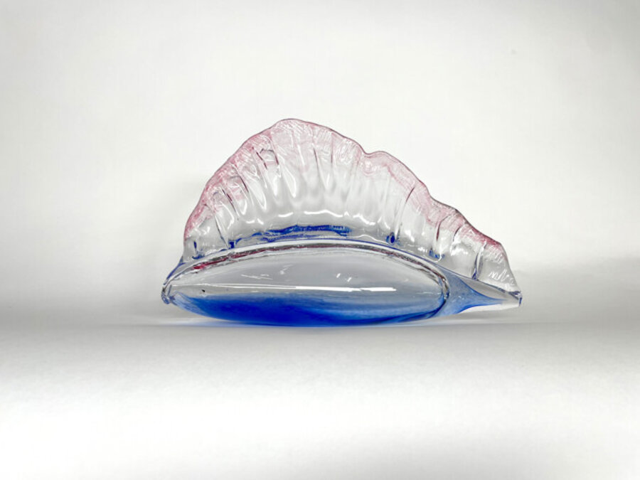 Man of War
