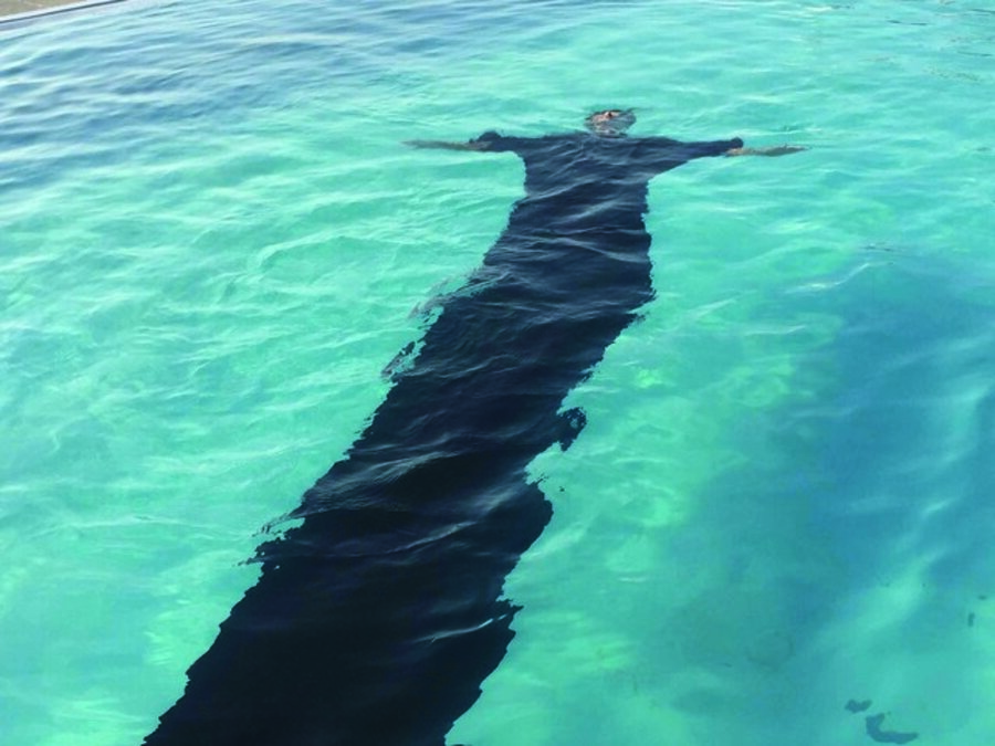 The skin, a land of discoveries II