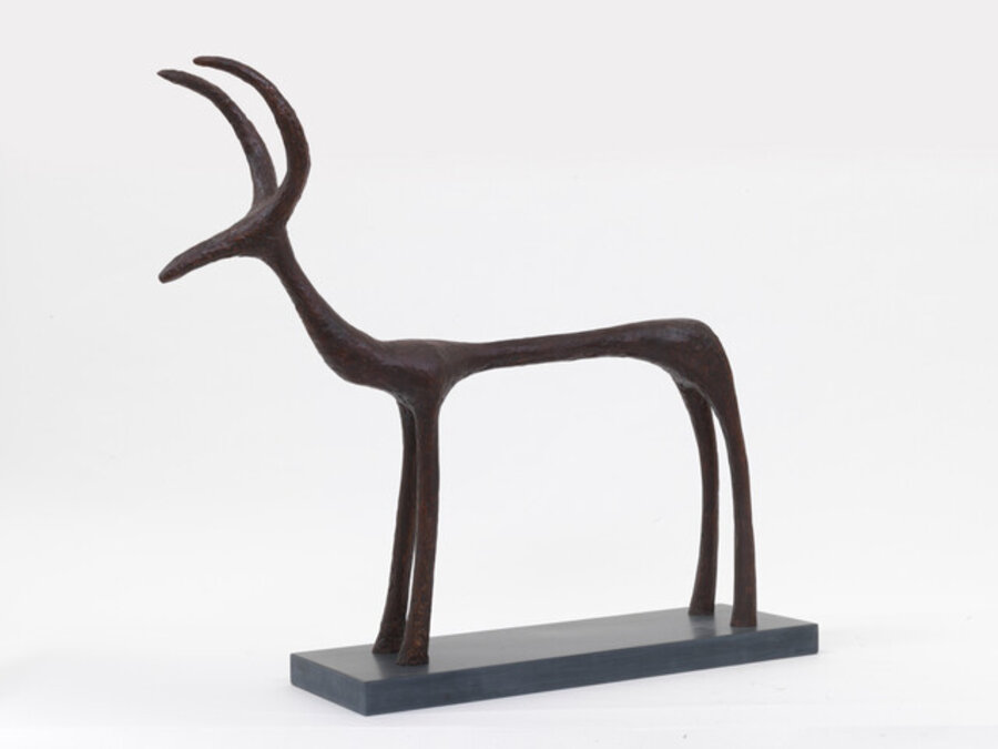 Deer