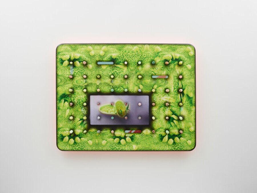 stomata-skin