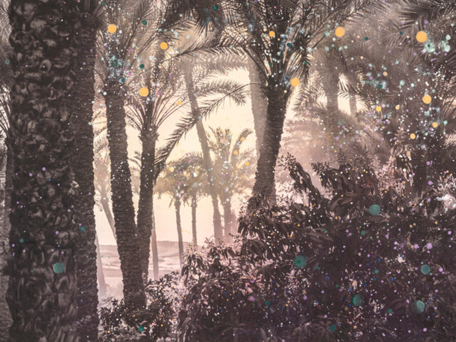 Magic Forest of Dahshur #2