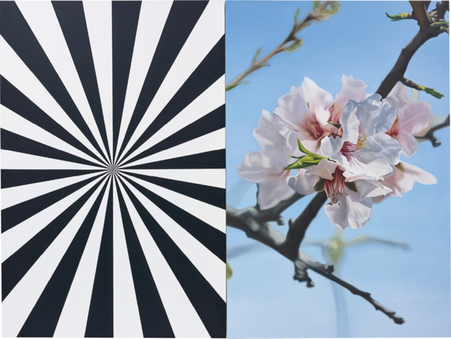 Exstacy Almond Blossom 8