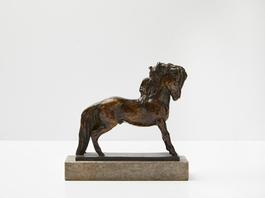 Ponyhäuptling