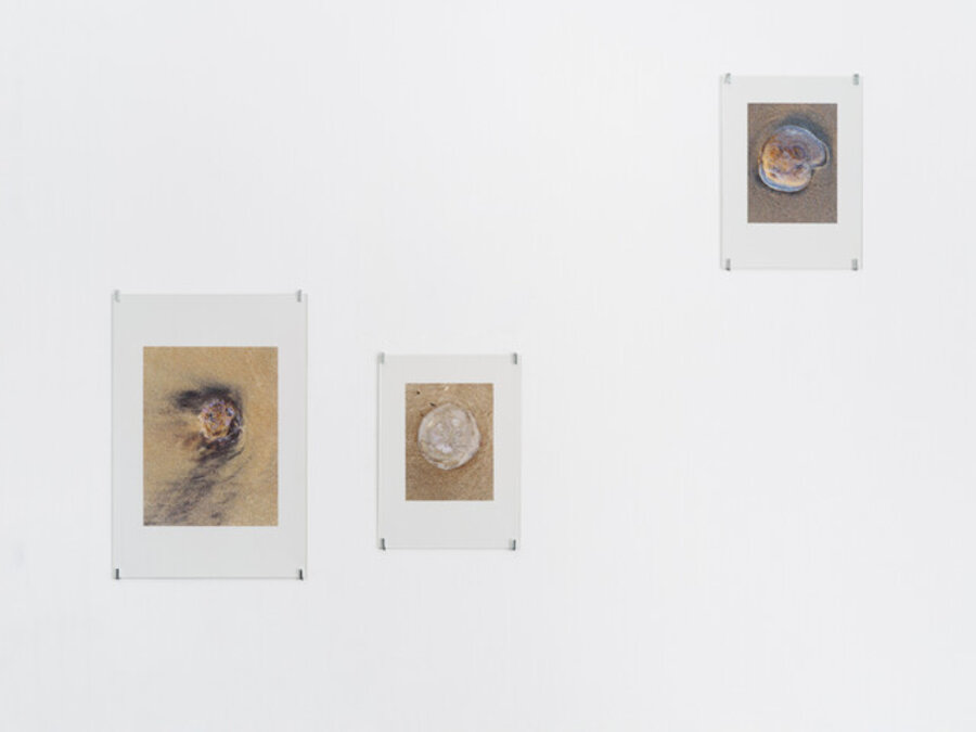 Grains of Truth, group three