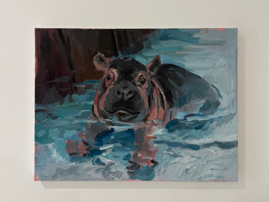 Baby Hippo