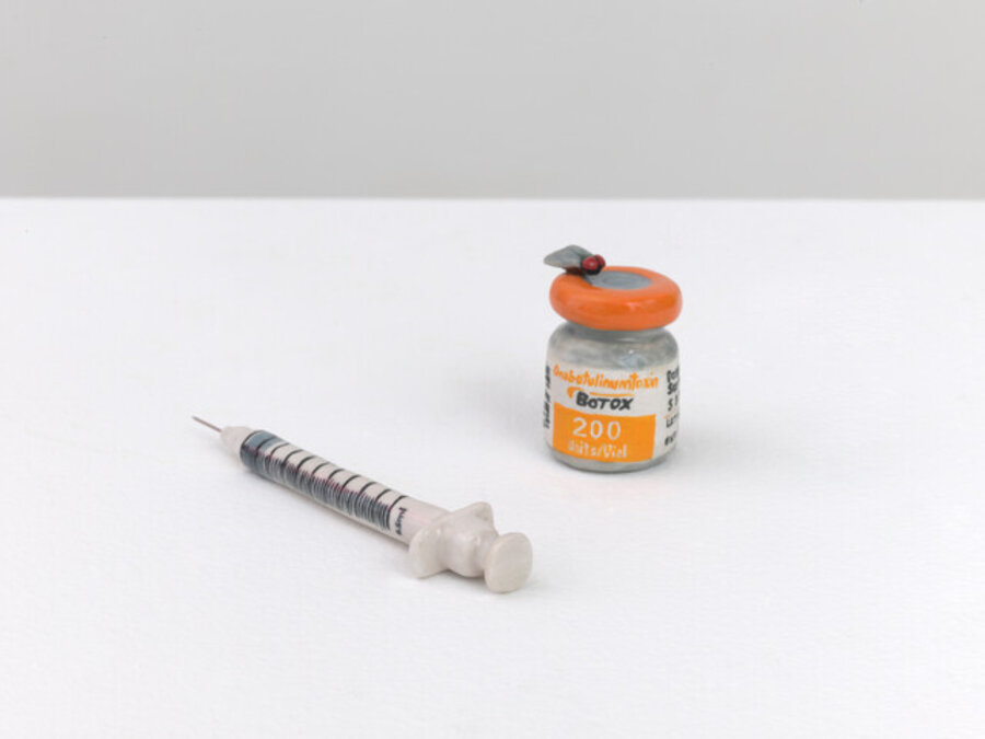 Botox and Fly (Vanitas)