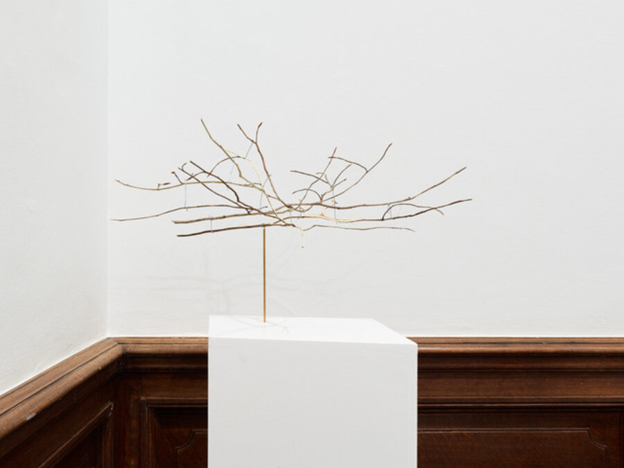 Split Branch