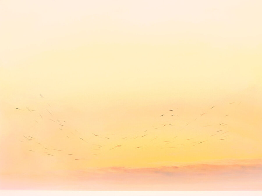 A brief movement after death 18