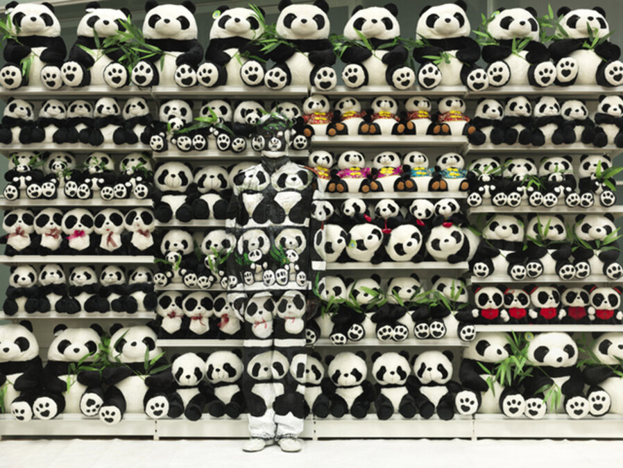 Hiding in the City - Panda