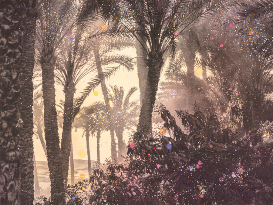 Magic Forest of Dahshur #2
