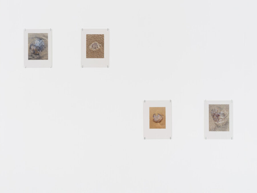Grains of Truth, group two