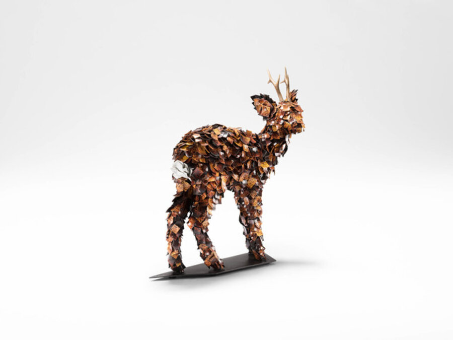 The Roe Deer