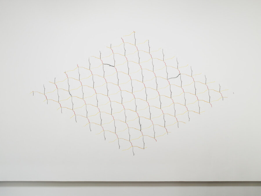Morphogenesis / Cripsis