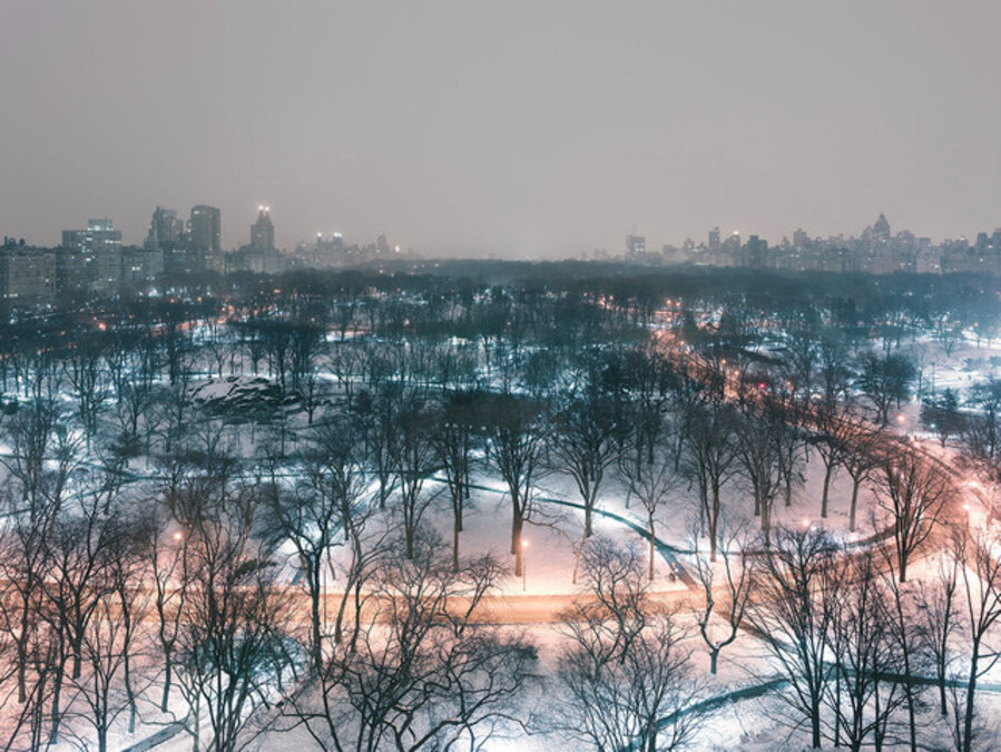 Central Park Winter Night