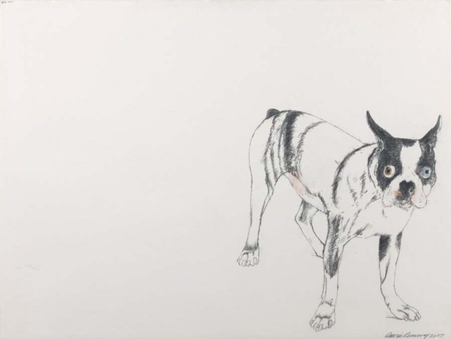 Dino