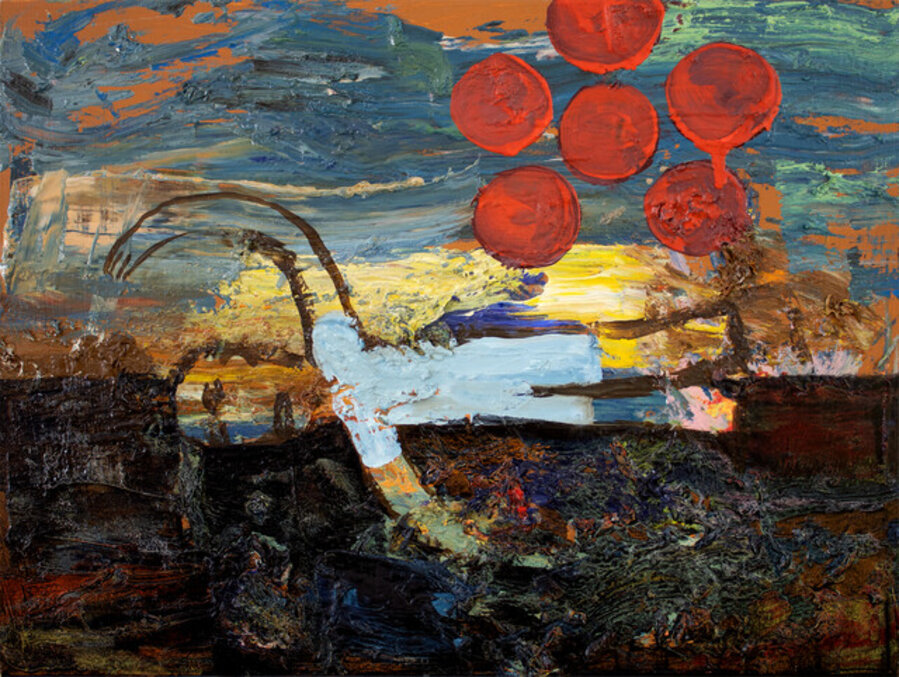 Swimmer