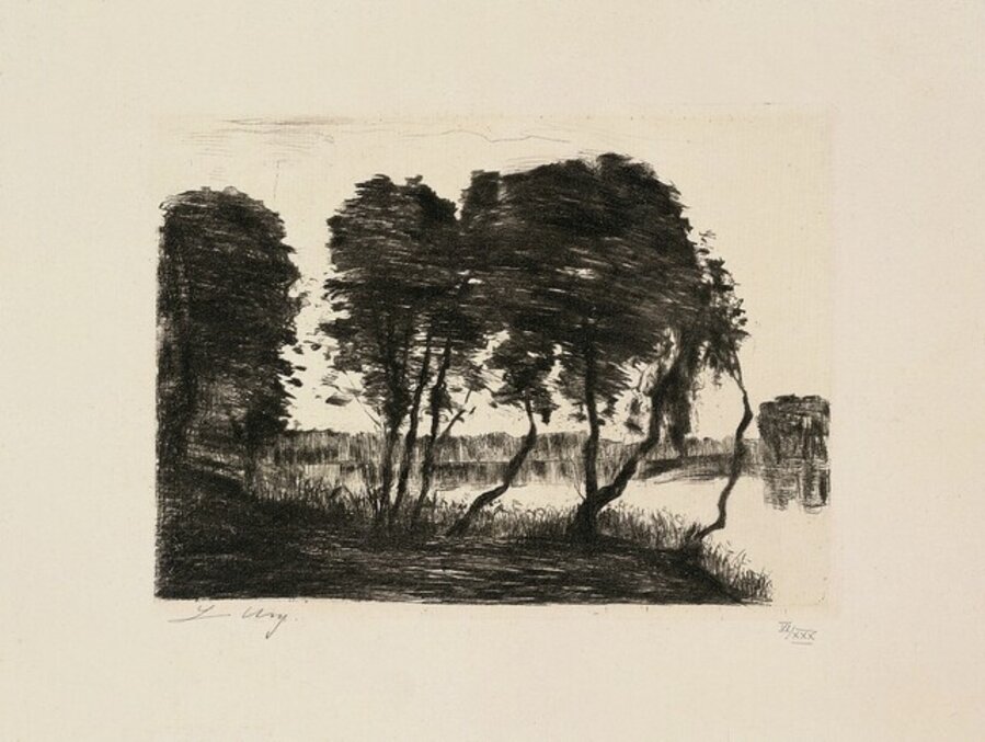 Bäume am Ufer des Grunewaldsees