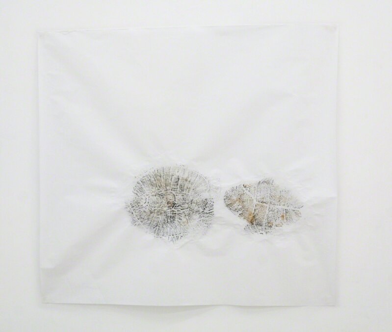 Mariana Castillo Deball, ‘The Tortoise and other footraces between unequal contestants’, 2017, Other, Rubbing fossil on Japanese paper, sumi, Pinksummer Contemporary Art