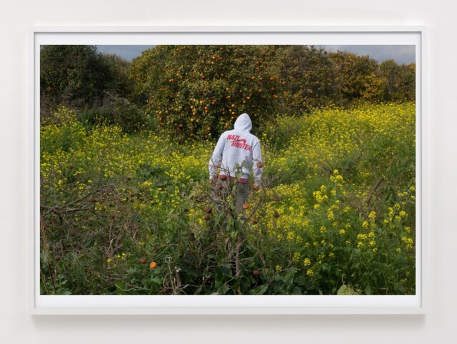 Nazi Hunter