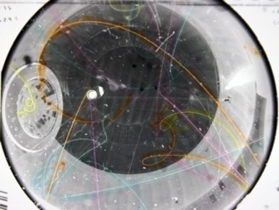 I ♥ Neutrinos: You Cant See Them but They are Everywhere