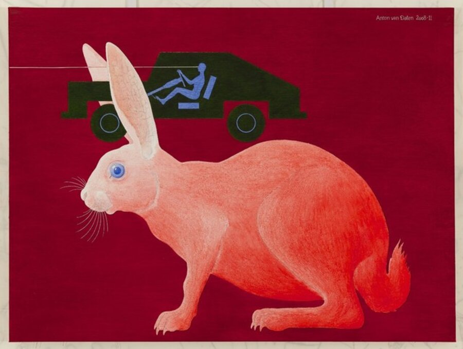 White Rabbit Highway